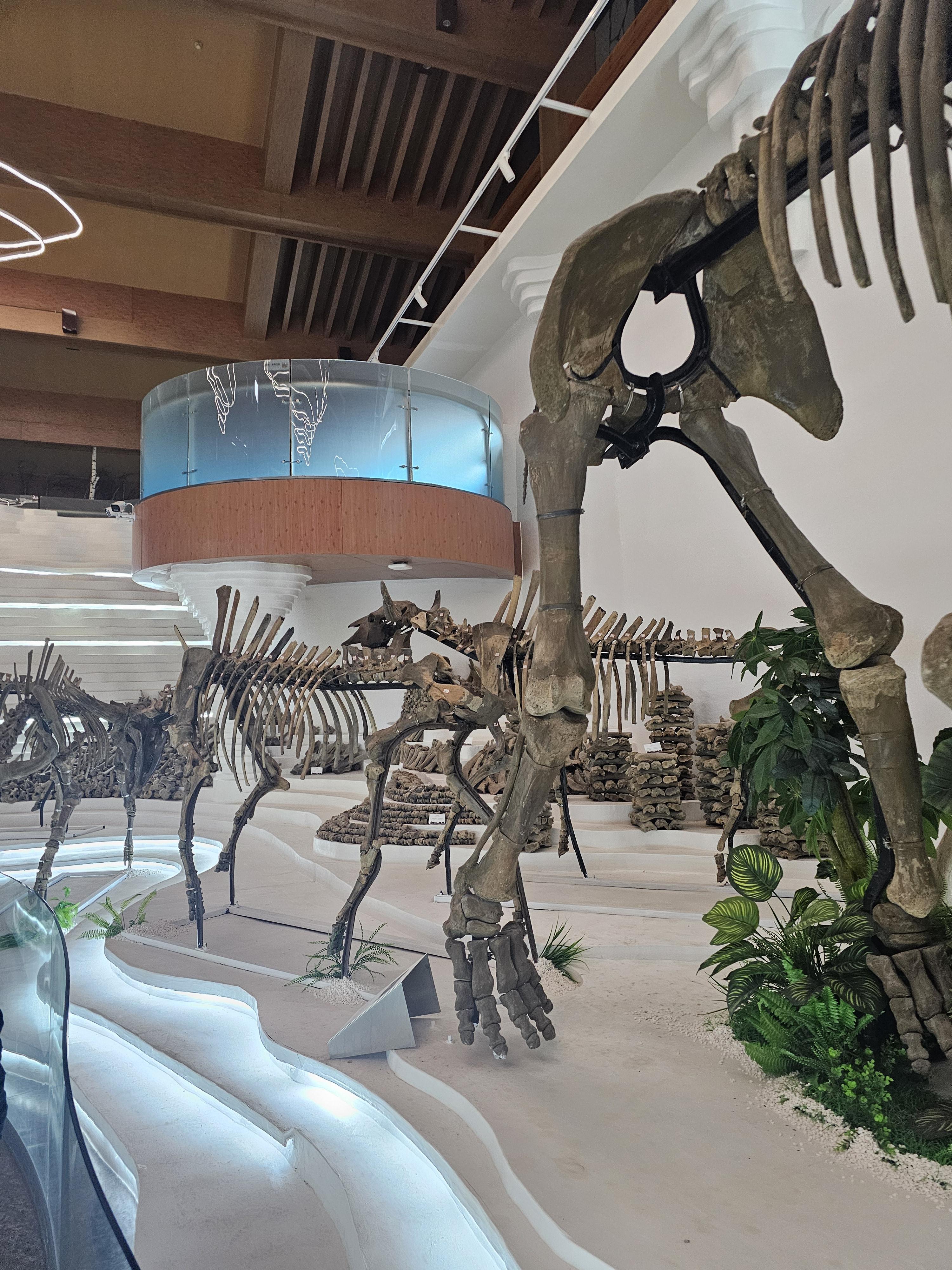 장백산 매머드 테마파크