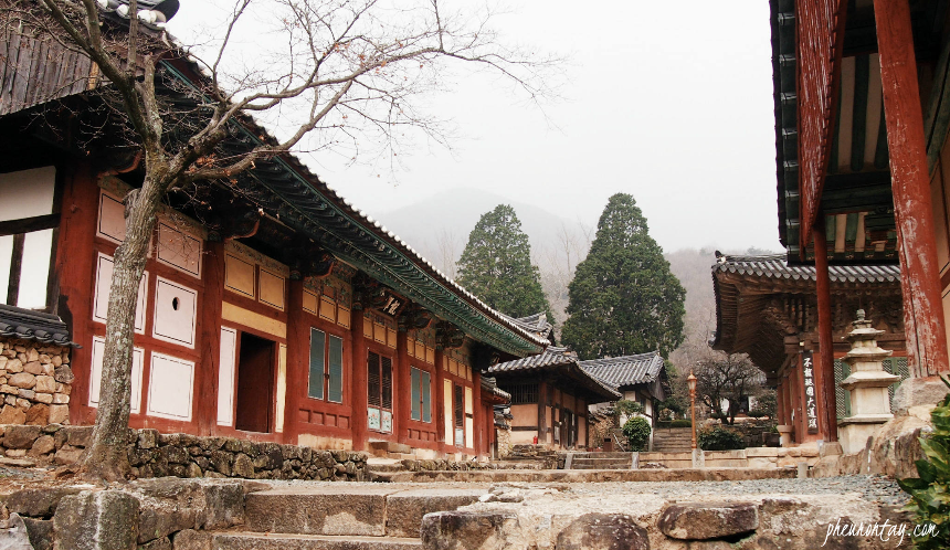 순천여행 필수 코스! 자연과 감성이 공존하는 힐링 여행지 추천