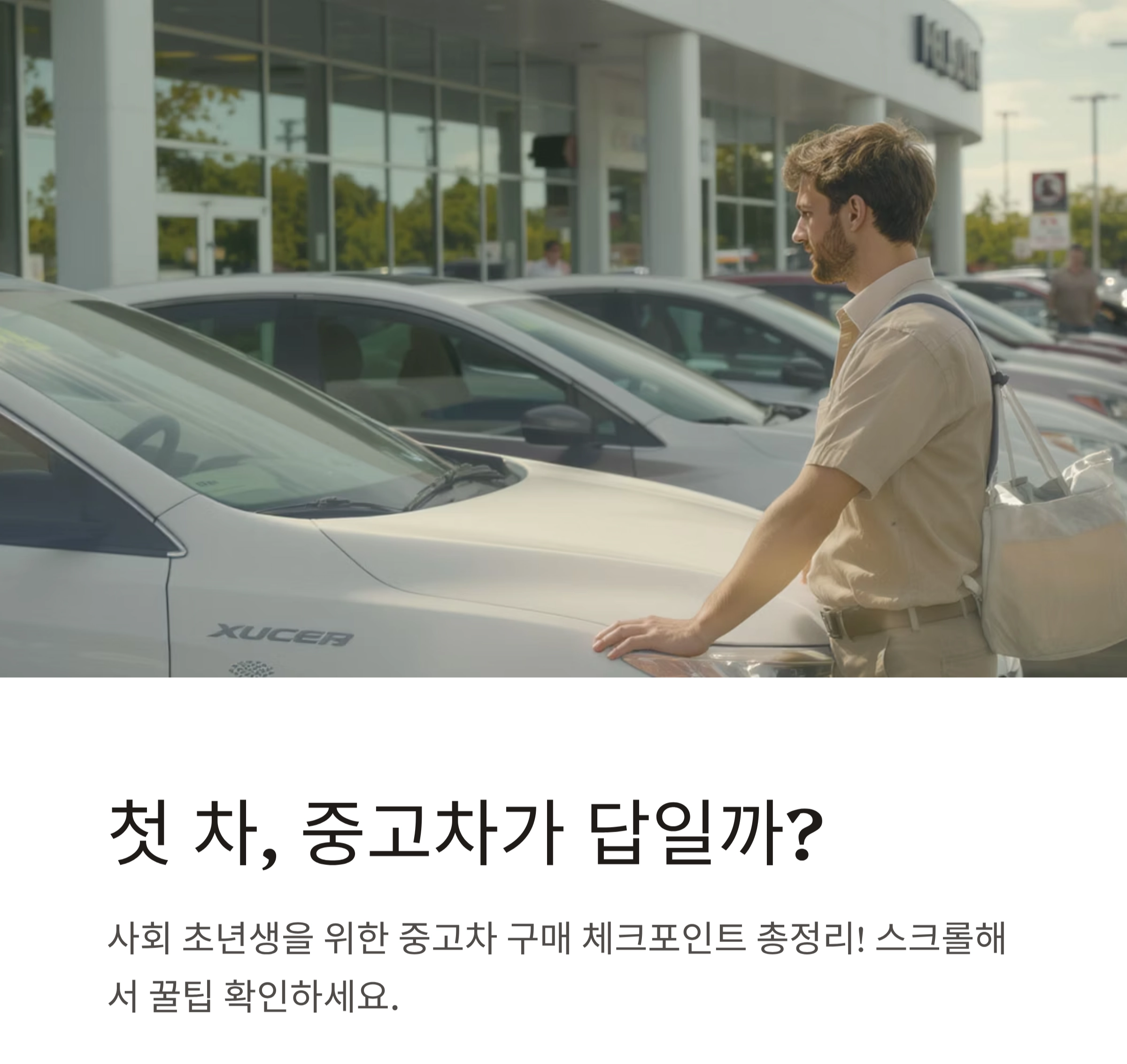사회 초년생을 위한 중고차 똑똑하게 고르는 꿀팁
