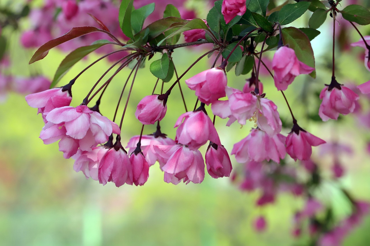 5월 인사말 모음! 40가지 꼭 전하세요