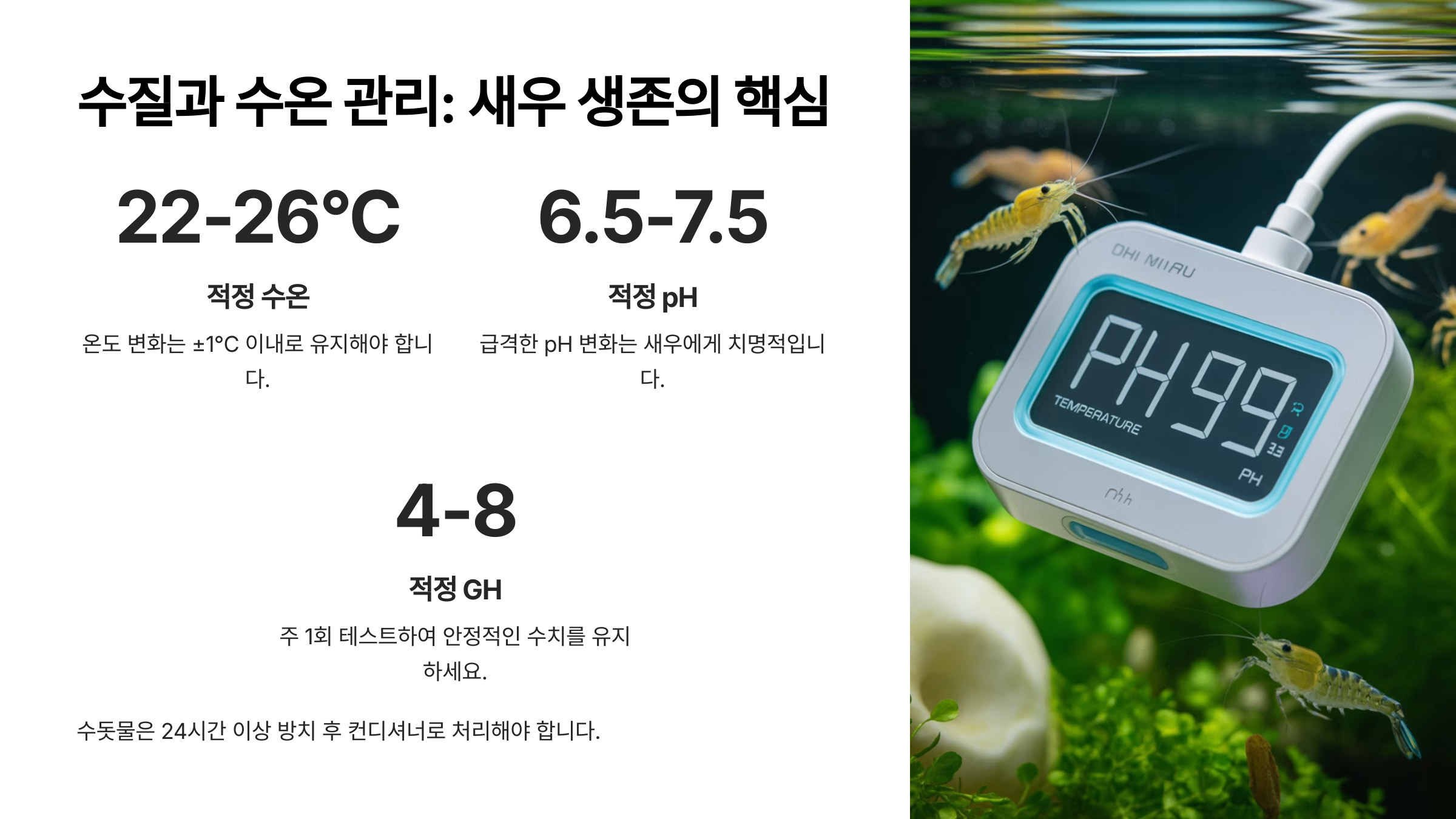 수질과 수온은 새우 생존의 핵심! 놓치면 탈락입니다
