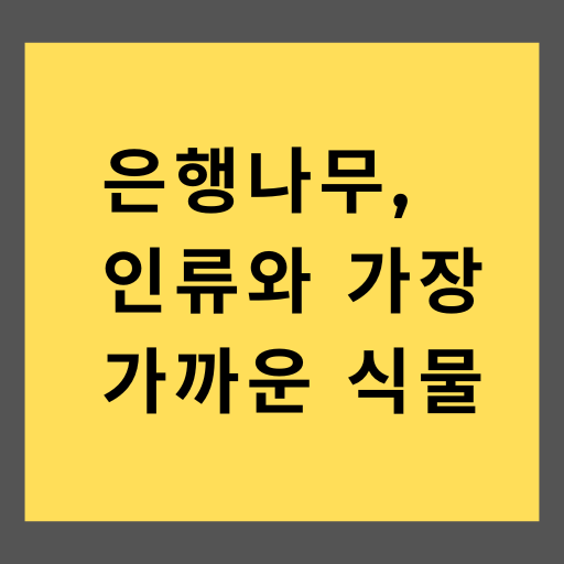 은행나무&#44; 인류와 가장 가까운 식물