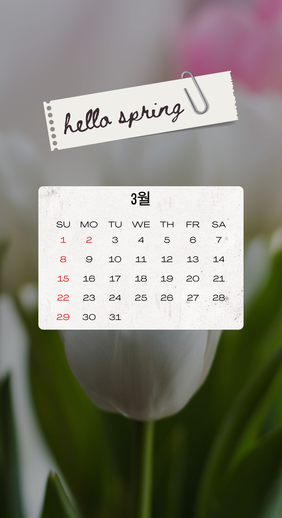 2026년 3월 달력 배경화면 이미지 모음