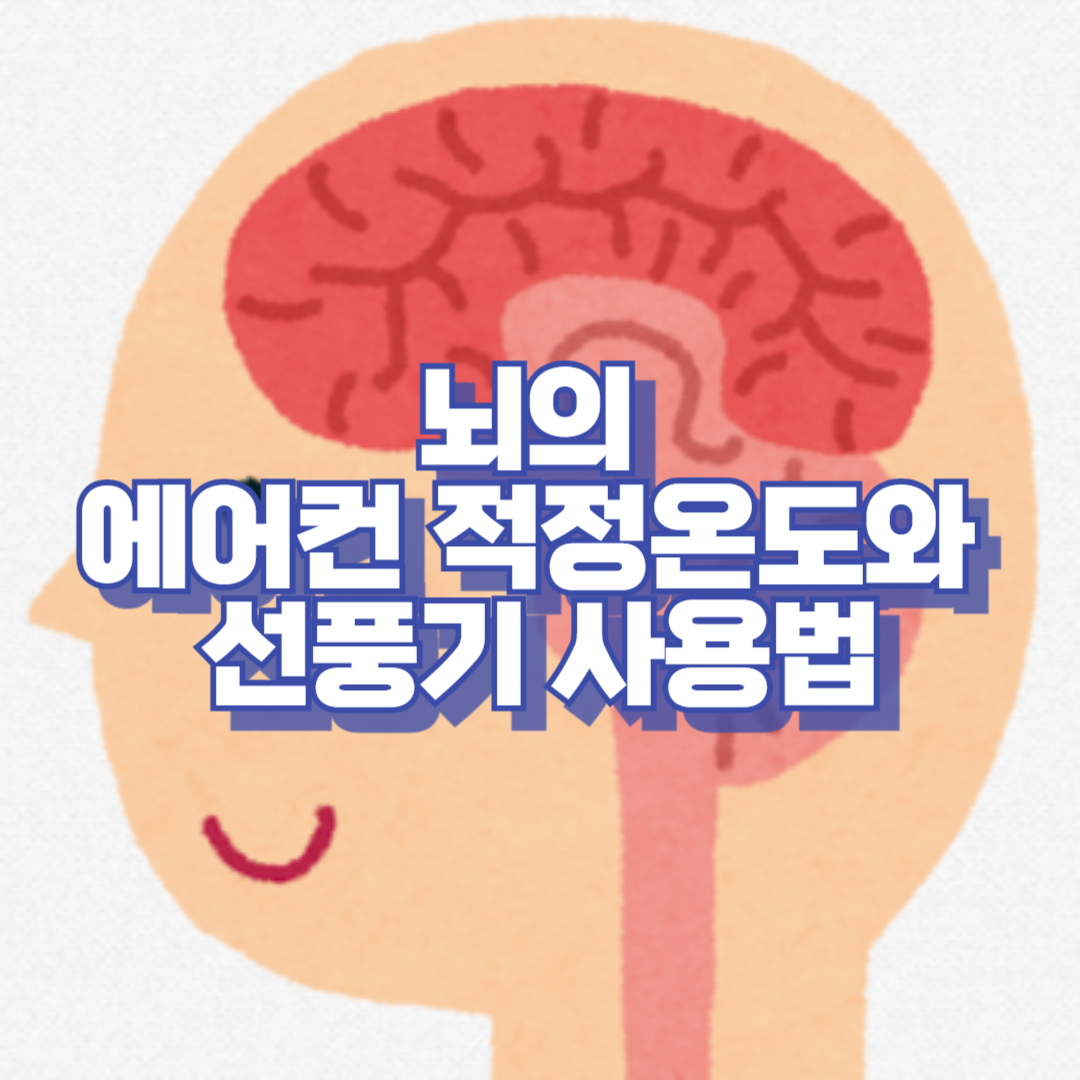 몰랐던 뇌의 에어컨 적정온도와 선풍기 사용법