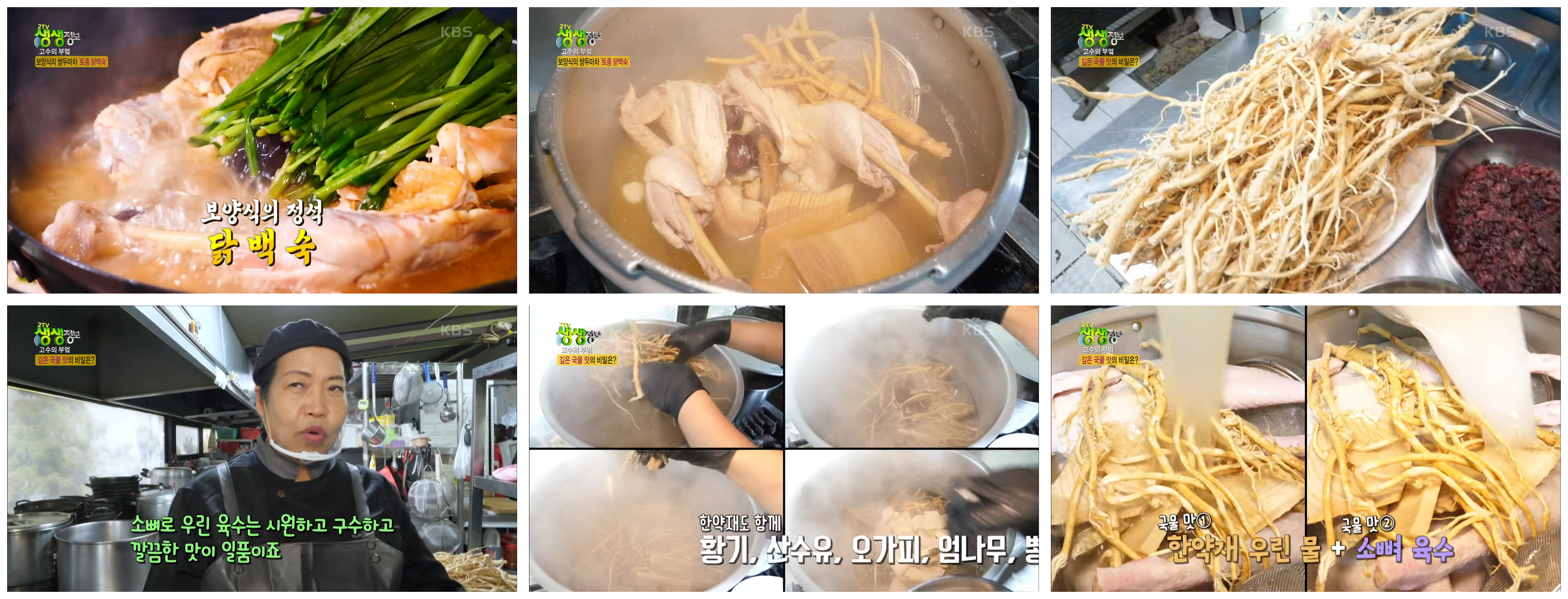 버드나무집