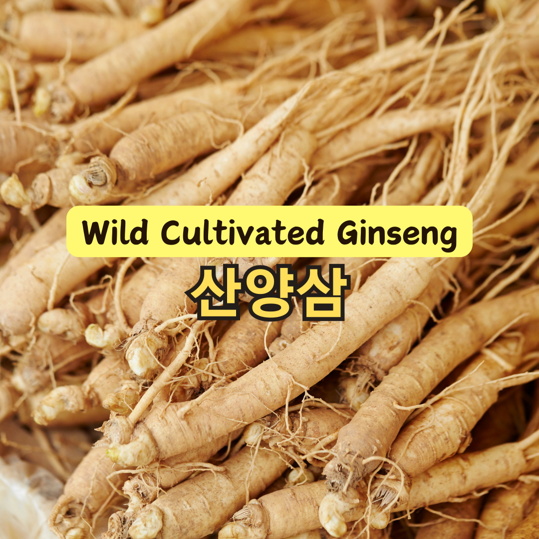 산양삼 효능과 복용법, 건강에 도움되는 정보