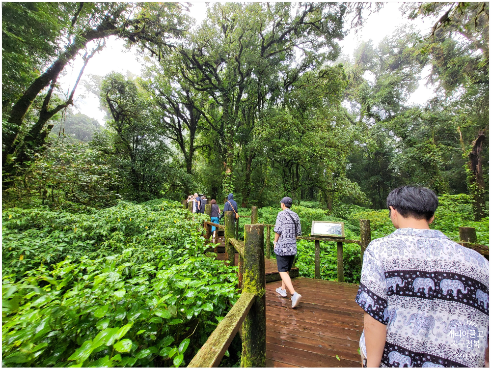 치앙마이 도이 인타논 국립공원