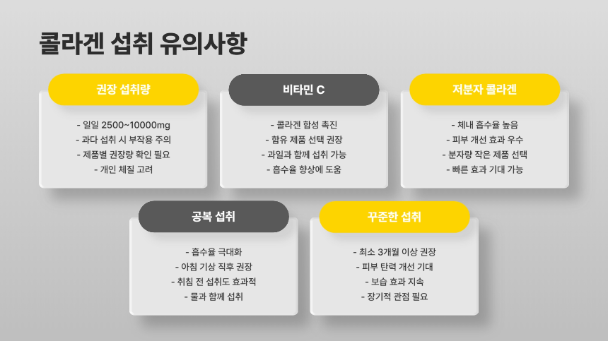 콜라겐 피부 건강 제품 TOP 5