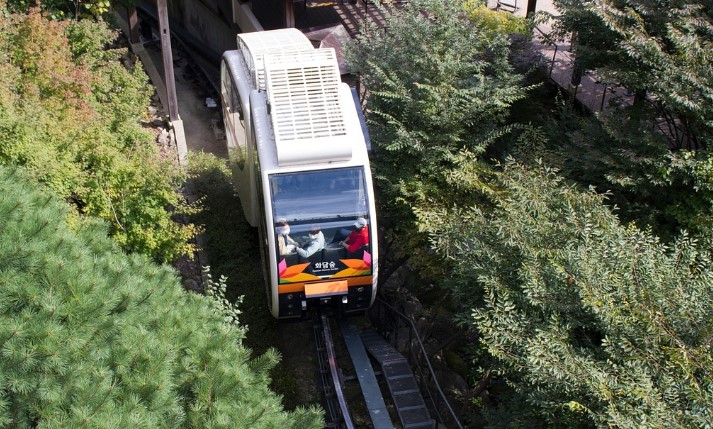 [화담숲 벚꽃 구경 + 예약방법 + 완벽 가이드]