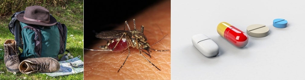 말라리아 예방법