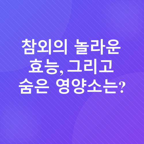참외 샐러드 레시피_2