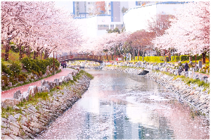 동삼해수천로