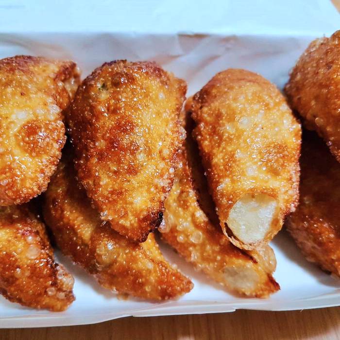 토요일은 밥이좋아 천안 군만두 맛집 바삭한 얇은 만두피 촉촉한 만두소 수제만두 야끼만두 인생 만두 한해 게스트 토밥 좋아 추천 방송정보