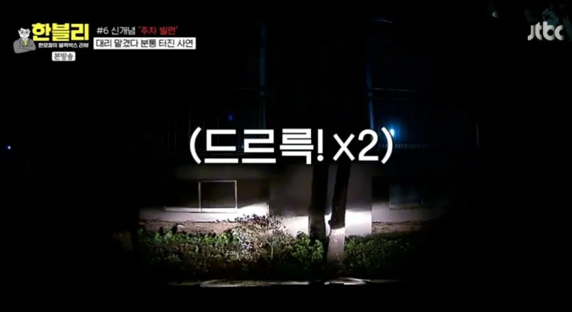 신개념 주차 빌런 대리 기사 5