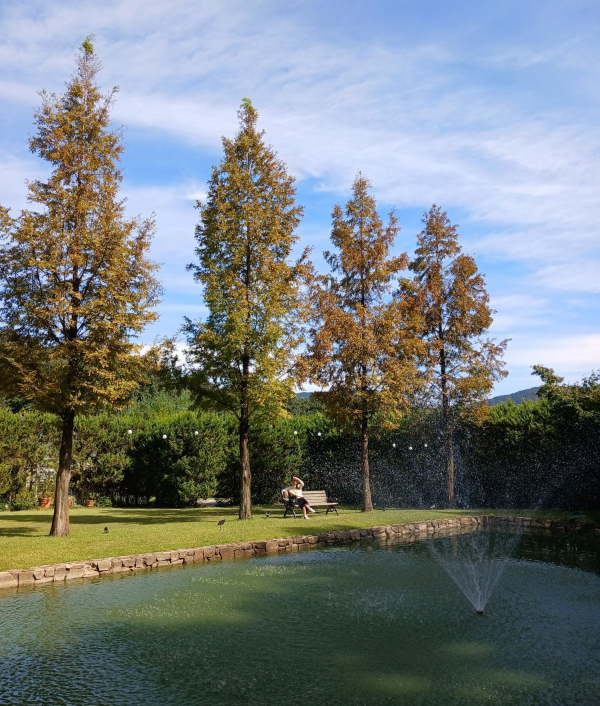 에덴낙원 연못 배경