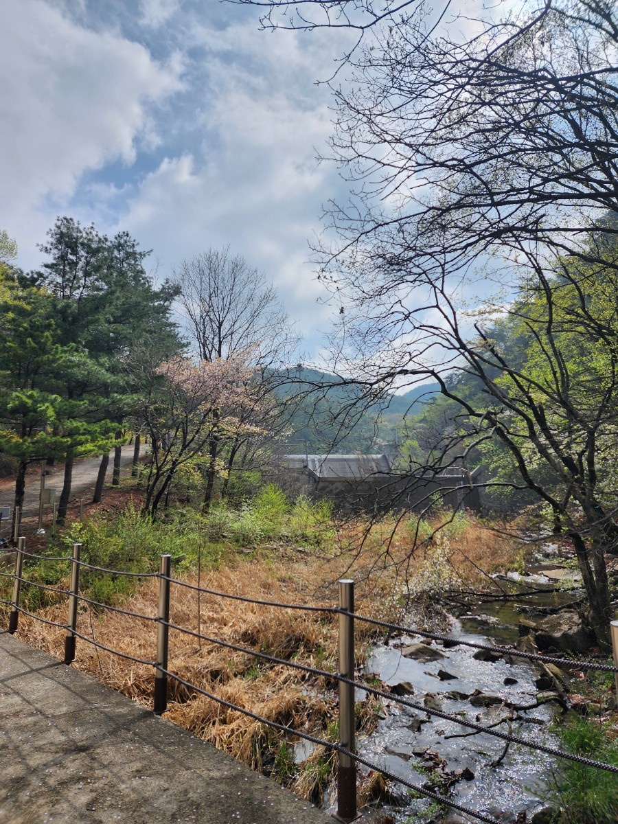 안양 수목원 이미지 사진