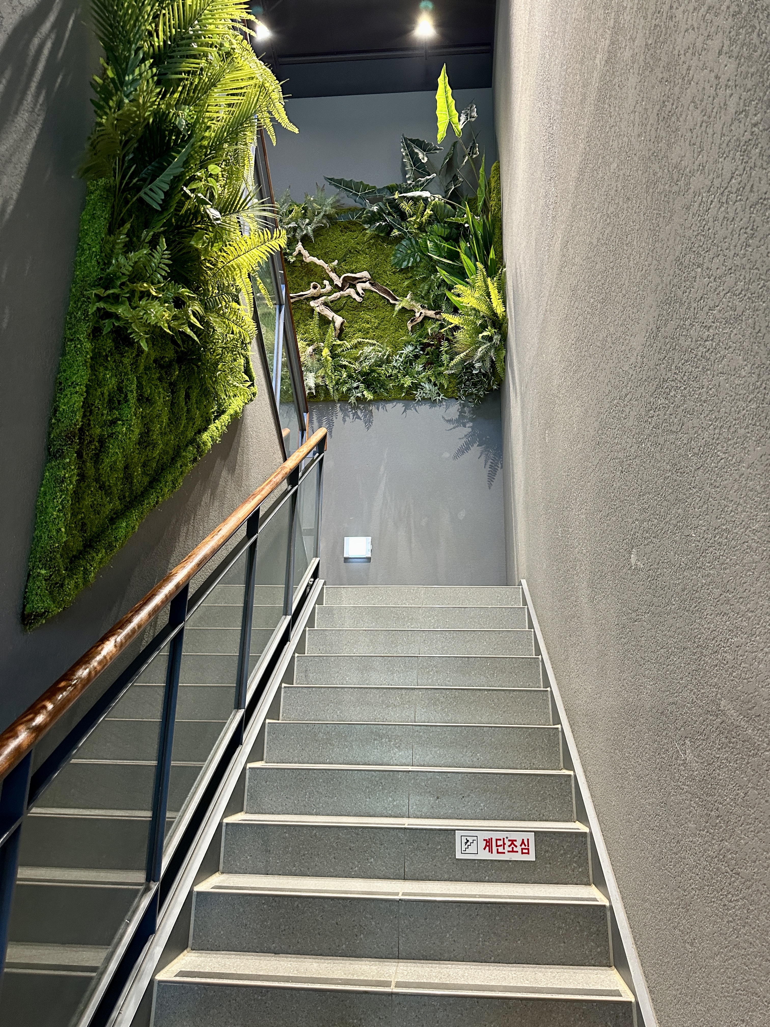 춘천 카페리움 2층