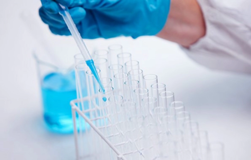 레이크머티리얼즈 기업정보 및 다운로드