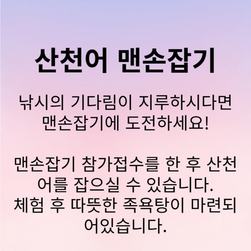 화천 산천어축제 예약