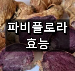 파비플로라 효능