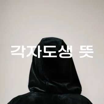 각자도생 뜻 유래 한자 비슷한 말 예문 영어 속담 반대말_3