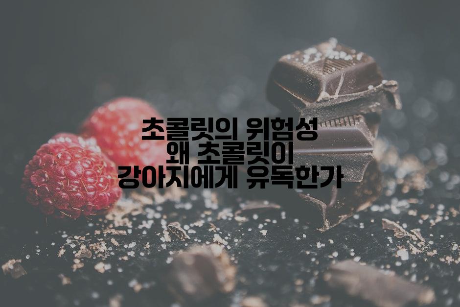 초콜릿의 위험성 왜 초콜릿이 강아지에게 유독한가