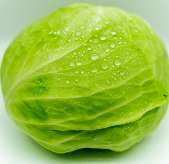 양배추 효능과 부작용 칼로리