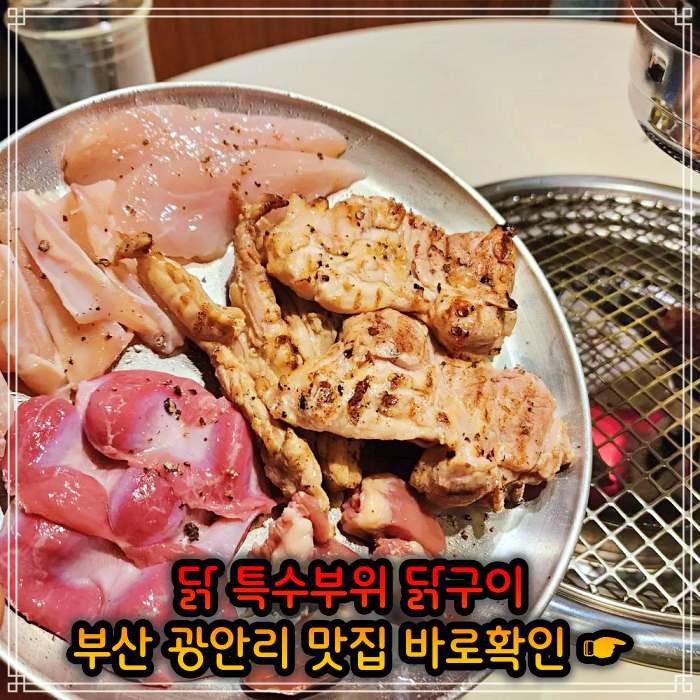 모닝 투데이 부산 광안리 닭고기 모둠구이 맛집