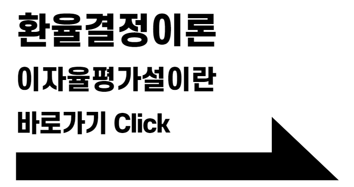 이자율평가설이란 개념