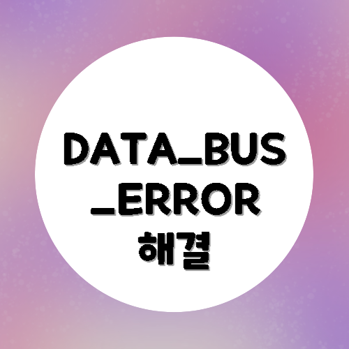 DATA_BUS_ERROR 간단 해결방법