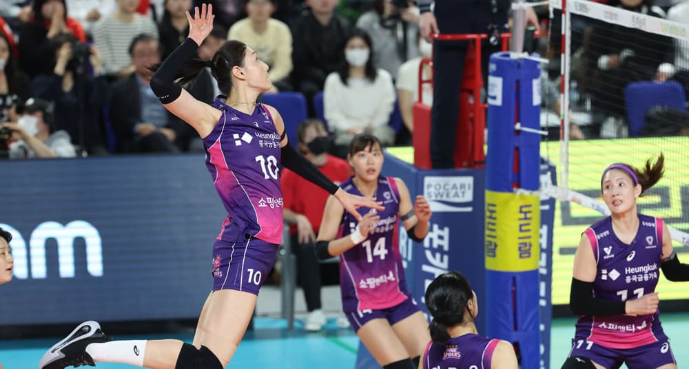 흥국새명-vs-정관장