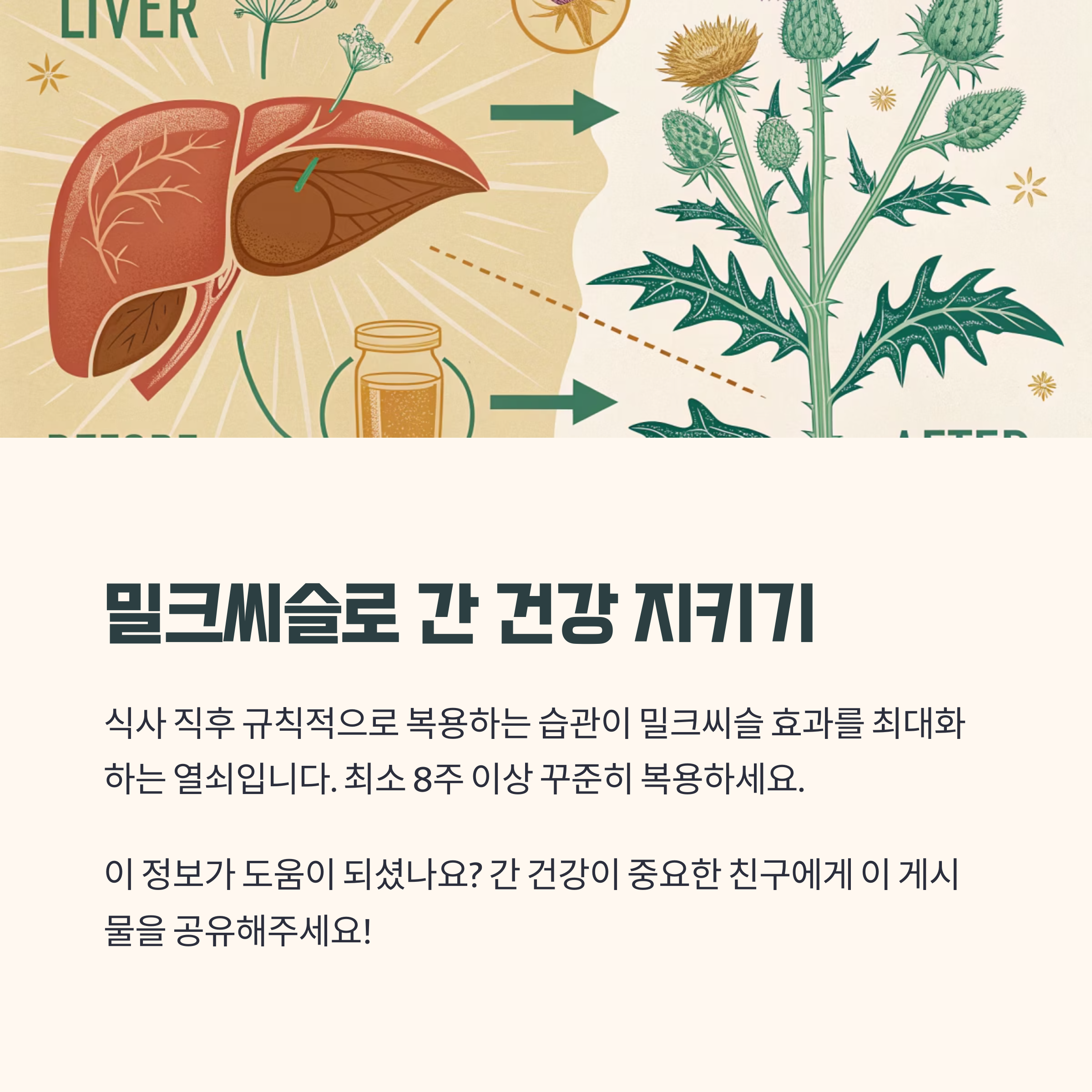 밀크씨슬 복용 루틴 만들기