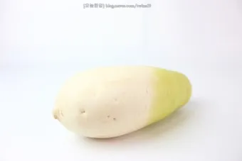 무우 효능 부작용 섭취 방법_13