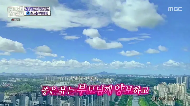 구해줘홈즈 고양시 덕양구 삼송동 삼송 그 집이 알고 싶다 하우스 매물 가격 및 구조 인테리어 리모델링 소개