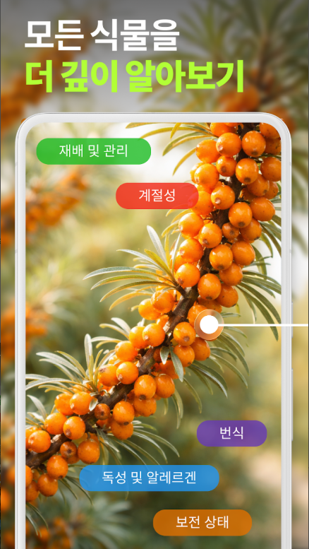 꽃이름 찾기 앱 설치 사용방법