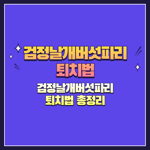 검정날개버섯파리 퇴치법 총정리