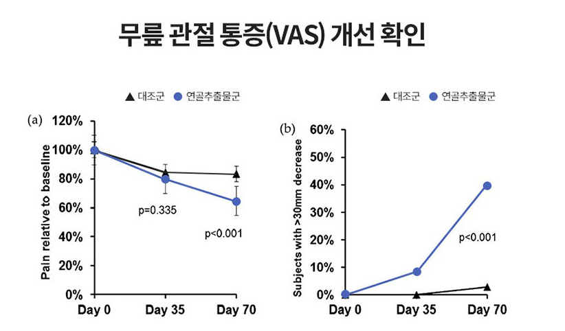 콘드로이친 효능 효과4