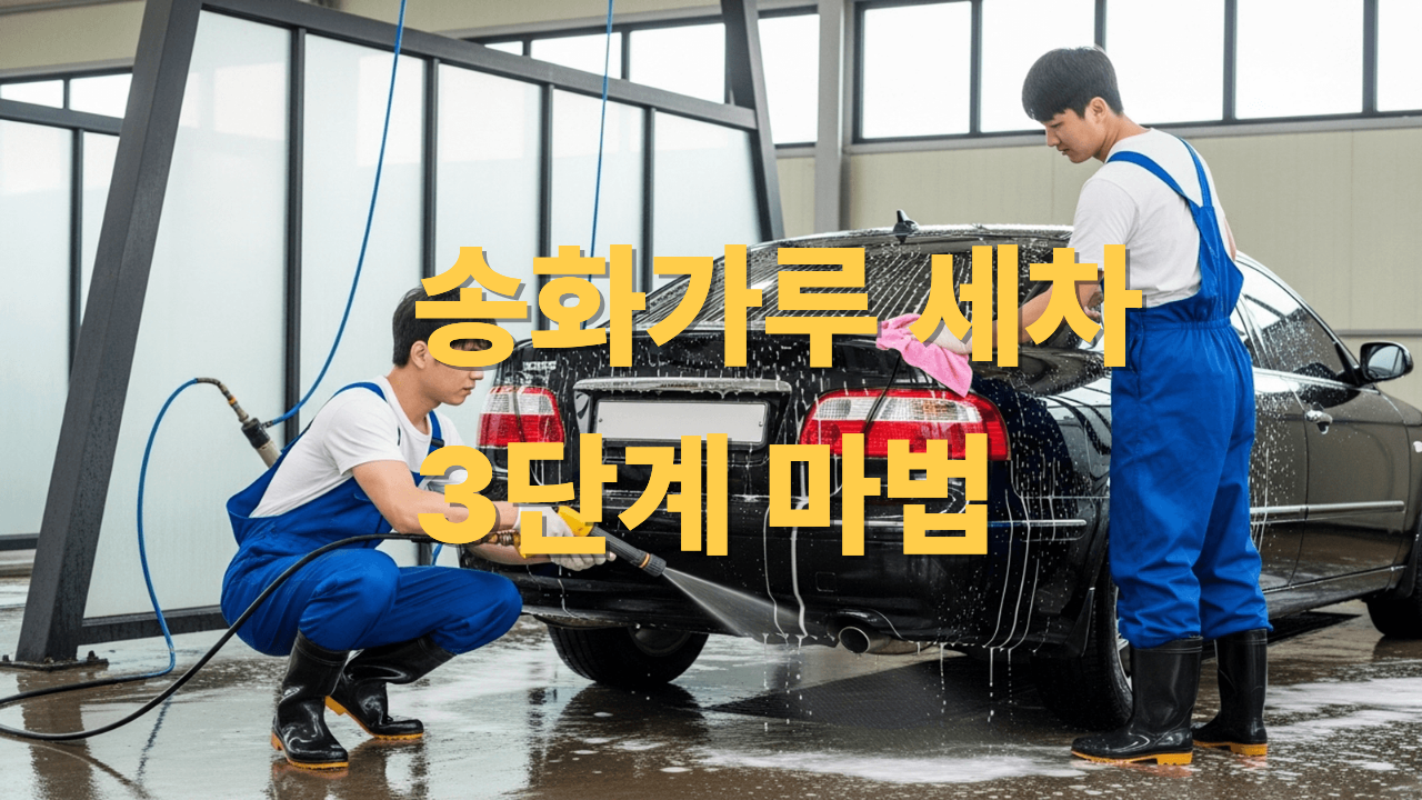 송화가루 자동차세차