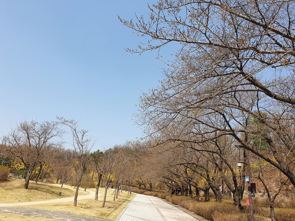 월영지-산책로