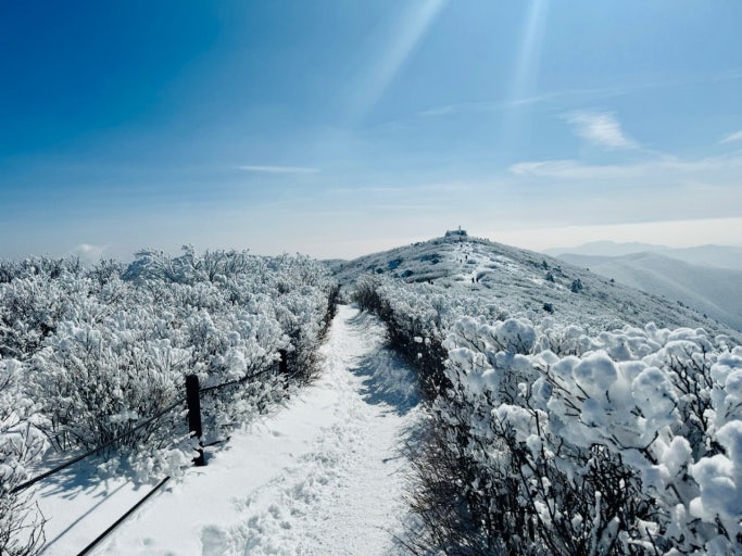 태백산 눈꽃축제