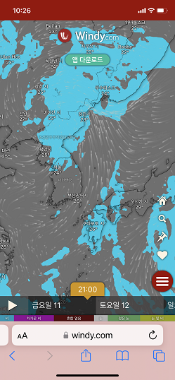 태풍경로사이트 윈디에서 강우량을 보여주고 있다.