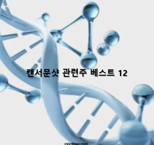 관련주 메인 이미지