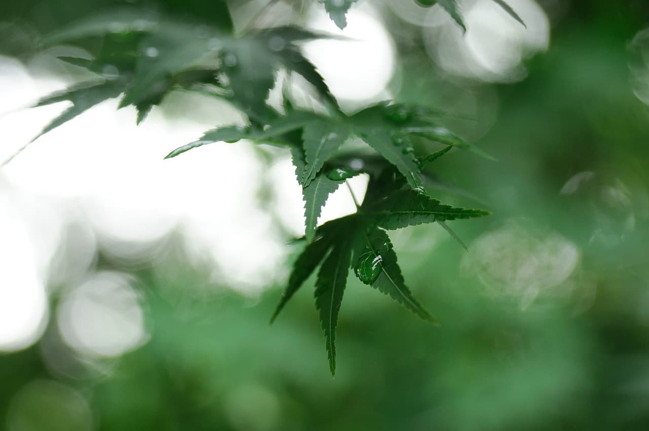 보톡스를 계속 맞아도 안전할까?