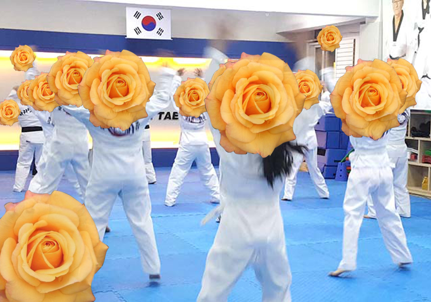 꽃보다 태권도: 장미
