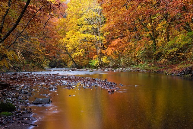 수면의 질 높이기