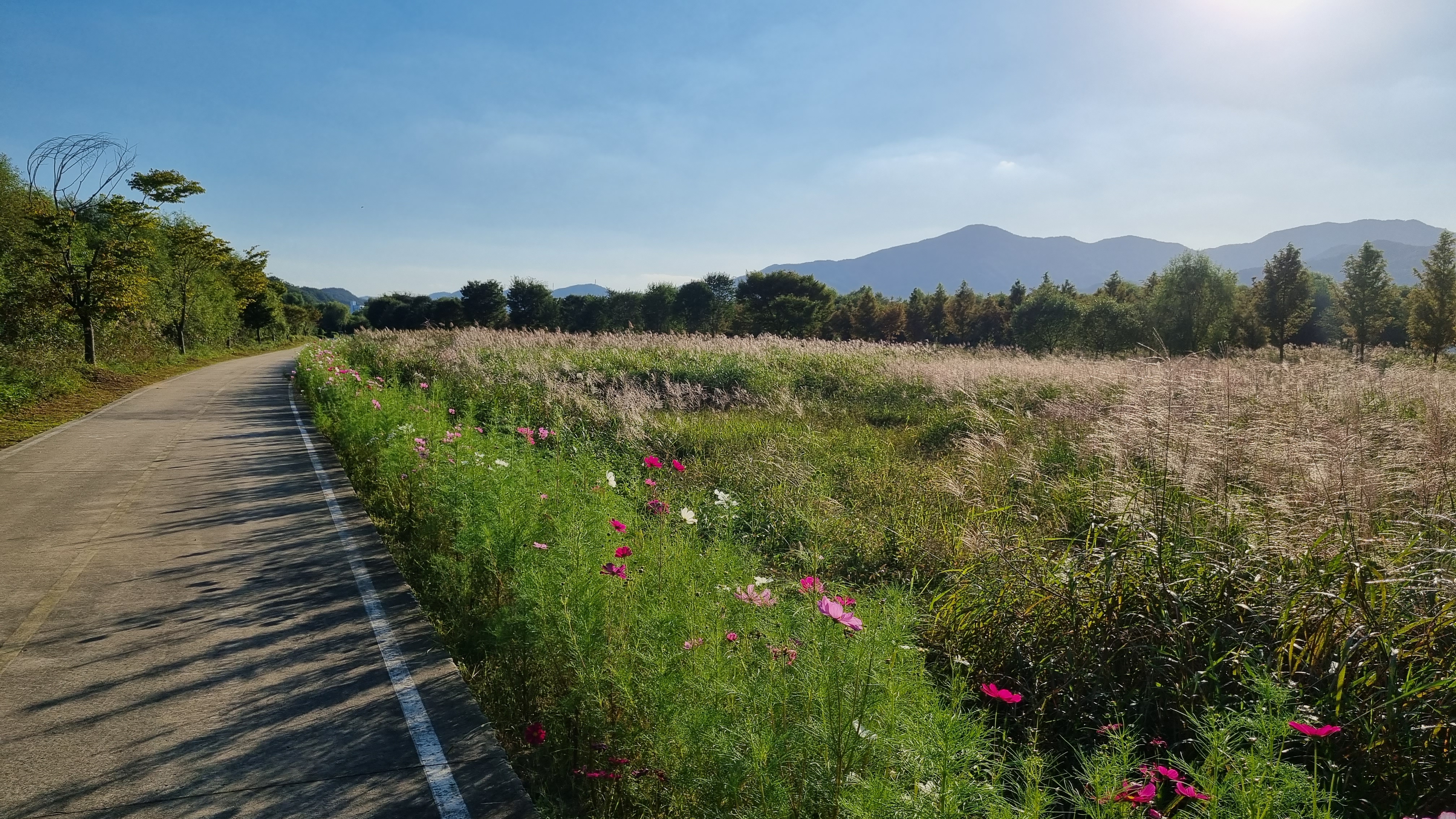 차박하기 좋은 곳