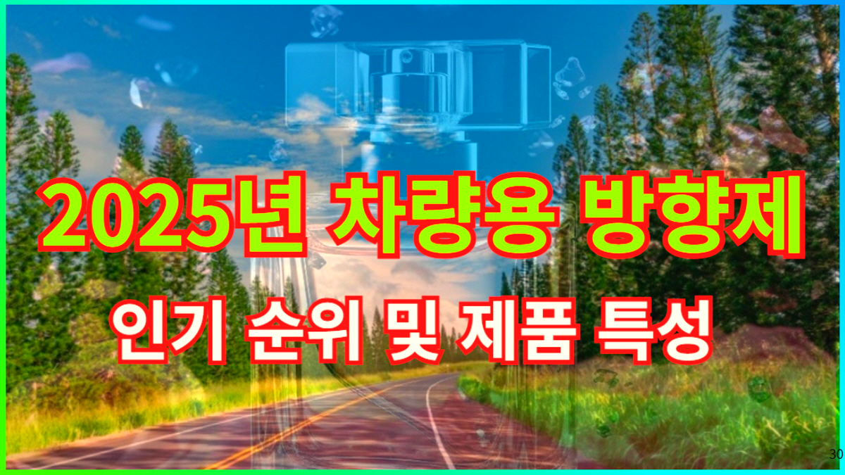 2025년 차량용 방향제 인기 순위 및 제품 특성 소개 이미지
