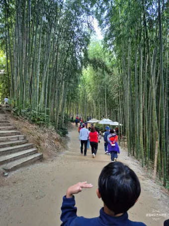 담양 죽녹원 소아르호텔 숙박 맛집_6