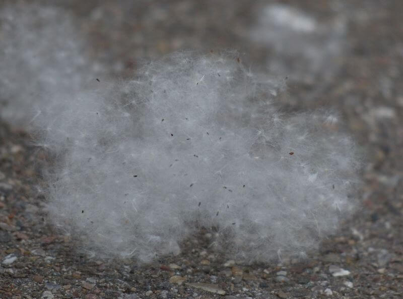 비염의-원인과-자연-치유의-중요성1