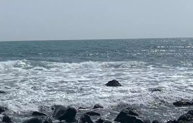 김태리-프로필-나이-키-학력-드라마-영화-필모그래피-설명-이미지